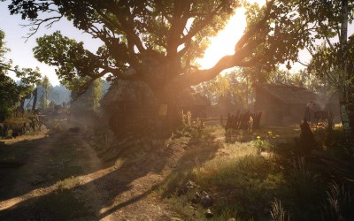 the_witcher_3_wild_hunt_panoramas_3